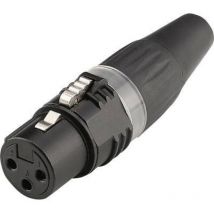 Hicon - xlr mâle, droit HI-X3CF-BLK Nombre de pôles: 3 noir 1 pc(s) S195981