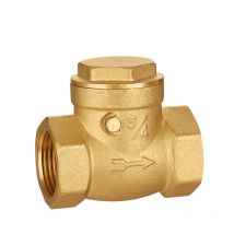 Conomiseurs d'eau DN20 Clapet Anti-retour, Valve Anti-retour d'Oscillation en Laiton de Filetage de 232PSI pour Compresseur d'Air