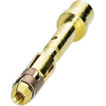 Contact femelle 0,5-1 Mm2 Sf-6As2000 Coninvers 1605557 D22334