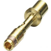 Contact femelle 1-2,5 Mm2 Sf-7Qs2000 Coninvers 1605643 D22858