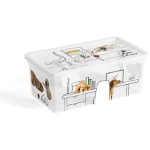 Keter – Contenitore in plastica multiuso C Box 34x19xH12 cm – Contenitore porta scarpe – 12 cm