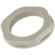 Contre-écrou Lapp 53119220 M20 Elastomère 1 pc(s) S29888