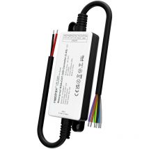 Regolatore di resistenza dell'acqua IP66 per nastro led RGBW/Spot + ctc Frequenza radio / Alexa / Google Assistant / Trasmettito