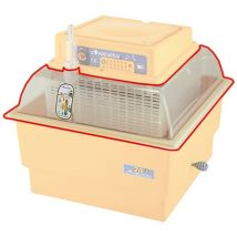 Coperchio trasparente per 24