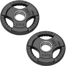 Ffitness - Coppia Dischi Olimpici Per Bilancieri E Manubri Bumper Plates Foro Da 50 Mm Dischi Peso Gommati Da 2,5 Kg A 20 Kg (2 Dischi Da 2,5 Kg)