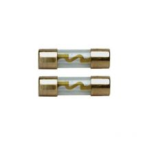 Coppia fusibili 10A con contatto dorato 10X38
