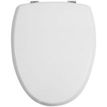 Copriwater Zeus Monoblocco Ceramica Azzurra