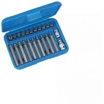 Condor - Werkzeug 1011 Set of 23 torx screwdriver bits with hole T10-T70