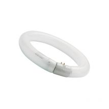 Sylvania - 0001964 Fluorescent tubes T9 Circline hr 32W 840 G10q base