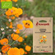 Coquelicot De Californie Orange