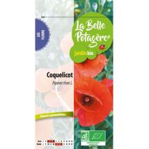 Coquelicot sauvage 0,5 g