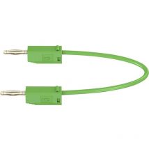 LK205 Cordon de mesure Banane mâle 2 mm Banane mâle 2 mm 0.60 m vert 1 pc(s) - Stäubli