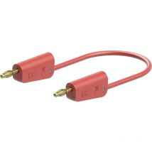 Stäubli - LK-4A-F25 Cordon de mesure 25 cm rouge 1 pc(s) D663442