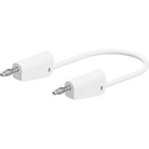 Stäubli - LK-4N-F25 Cordon de mesure 150 cm blanc 1 pc(s) D668742