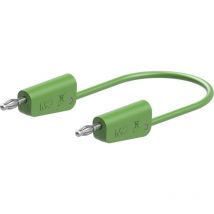 Stäubli - LK-4N-F25 Cordon de mesure 25 cm vert 1 pc(s) D661992