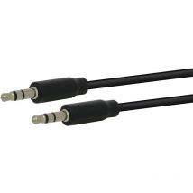 Fujionkyo - Cordon Jack ø 3,5 mm mâle/mâle stéréo 1 mètre 434640