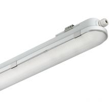 Signify - reglette etanche led coreline wt120c g2 l1500 57,1 w 8000 lm 4000i