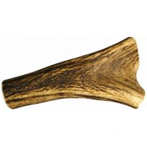 Bois de cerf entier Taille : l
