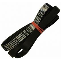 Correa 1236j6 42006396 Fagor
