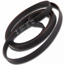 Correa 1904H7 481935818156 Saba