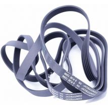 Correa 44664 Essentiel B