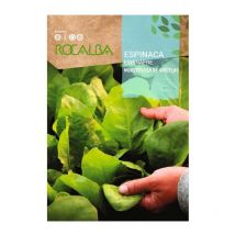 Correa beach bum comic t-l