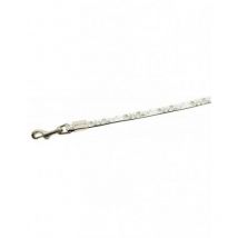 Correa envy wild for ever blanco 10mm x 120cm