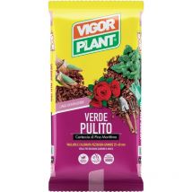 Corteccia di pino Grande 25-40 mm Verde Pulito 60 litri Vigorplant