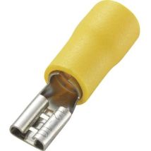 Cosse clip 4.8 mm x 0.5 mm Tru Components FDD5.5-187 180 ° partiellement isolé jaune 50 pc(s)