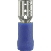 Cosse clip 4.8 mm x 0.5 mm Vogt Verbindungstechnik 3904 180 ° partiellement isolé bleu 1 pc(s) D24579