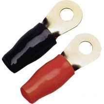 Cosses de câble à oeillet 35 MM² sinus live Sinuslive RKS-35 P2