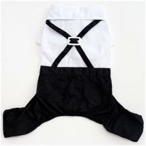 Costume col brillant pour homme, chat, Teddy, chiot, vêtements, robe de mariage, fausse chemise deux pièces, smoking(XL)