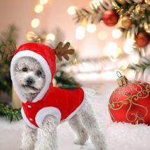 Costumes de Noël pour chiens, costumes de Père Noël, costumes mignons de renne pour chiens