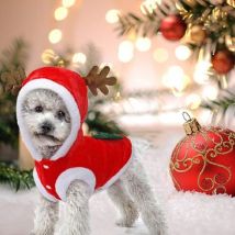 Costumes de Noël pour chiens, costumes de Père Noël, costumes mignons de renne pour chiens