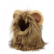 Cyslmuk - Costumes d'Halloween - Chatons - s - Halloween, Anniversaires de chat, Cosplay de chat, Costumes de chat, Costumes pour animaux de compagnie