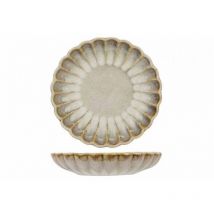 Dipteller 'Astera Pearl'