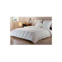 Couette Visconature 260x240