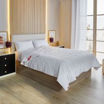 Pikolin Home - Couette double duvet 120gr+160gr 280x240cm