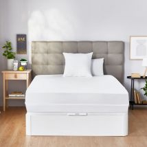 Pikolin Home - Funda de colchón hipoalergénica contra chinches y fluidos 140x200cm