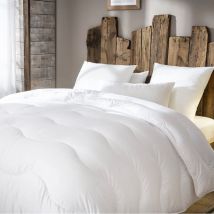 Couette hiver chaude Thermofill 350g 200 x 200 cm pour lit 1 place Abeil