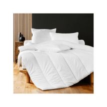 Couette Couette Legere et Fine 170 gr - Plusieurs tailles - 240x260cmHomeFlair