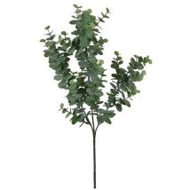 Couleur Vert Eucalyptus 65 Cm