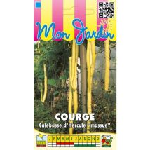 Courge Calebasse longue massue d'Hercule - 3g