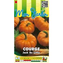 Courge Jack Be Little - 3g