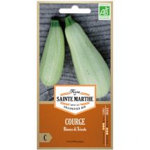 15 graines ab - Courgette Bianca di trieste ou (Bianca goriziana) - La Ferme Sainte Marthe