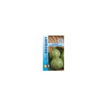 Courgette de Nice à fruit rond - 3g