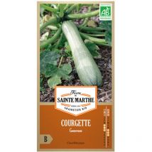 15 graines ab - Courgette Genovese - La Ferme Sainte Marthe