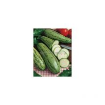 Courgette grisette de Provence - 2g