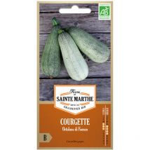 15 graines ab - Courgette Ortolana Di Faenza - La Ferme Sainte Marthe