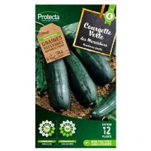 Courgette verte des maraîchers